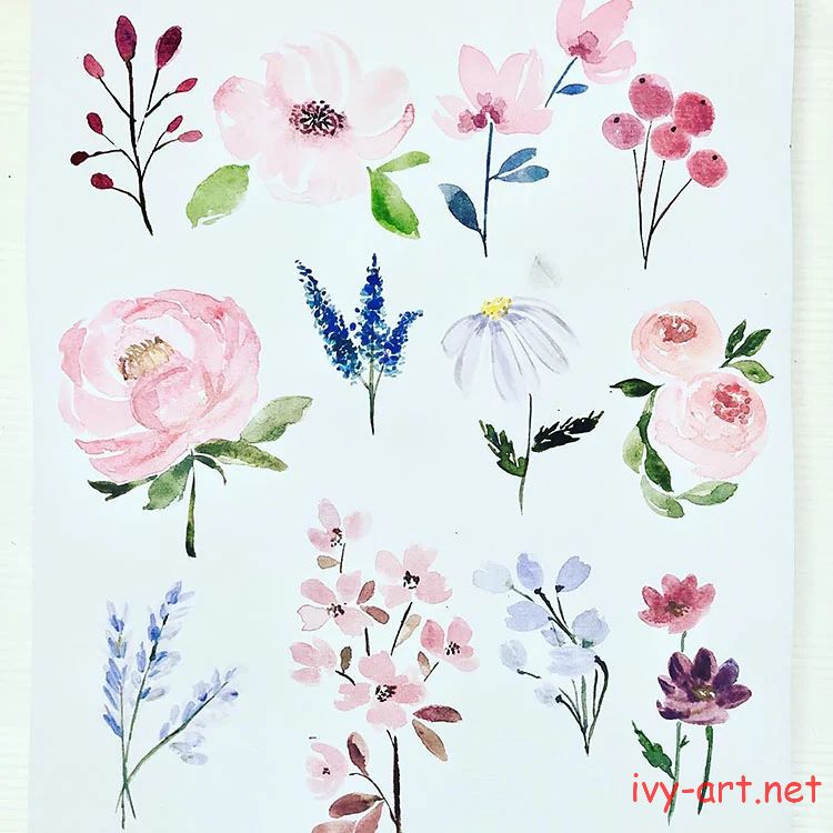 Vẽ hoa theo đa dạng phong cách bằng màu nước