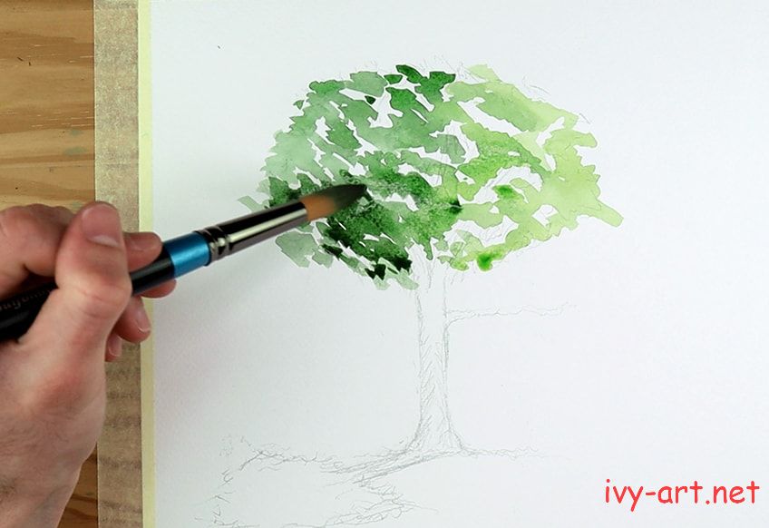 Vẽ lá cây sồi