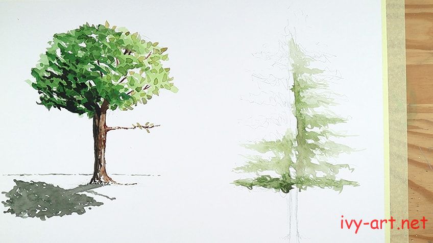 Vẽ tông màu sáng cho lá cây thông