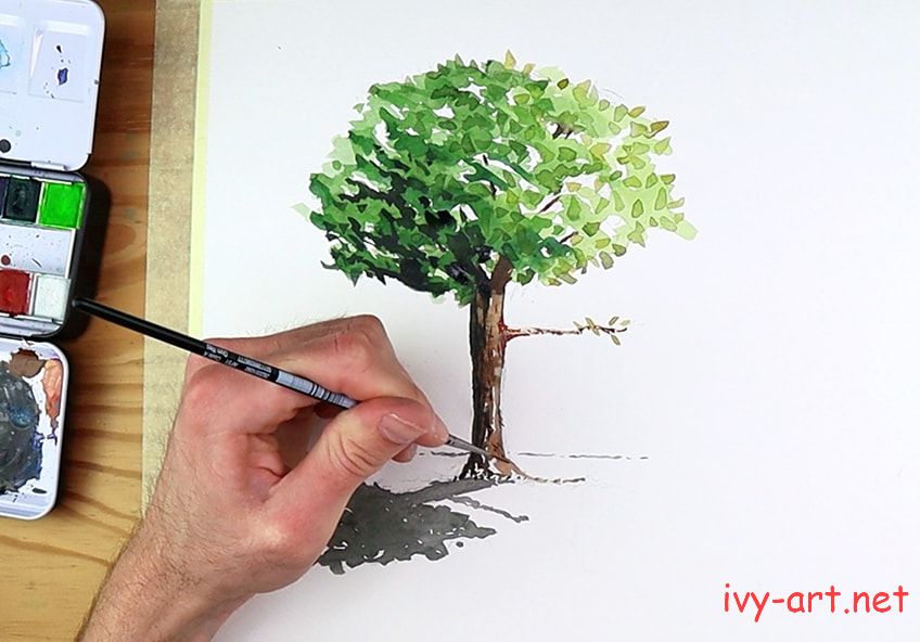 Hướng Dẫn Vẽ Cây Bằng Màu Nước Đẹp Mà Đơn Giản - Ivy Art Materials