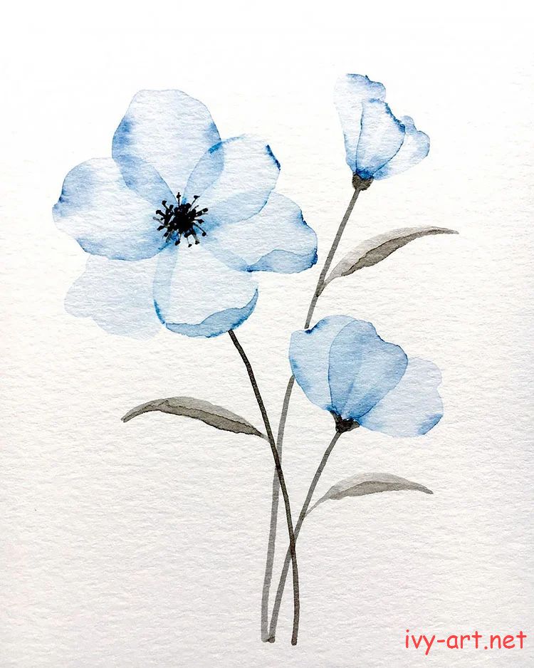 Vẽ hoa màu xanh lam bằng màu nước